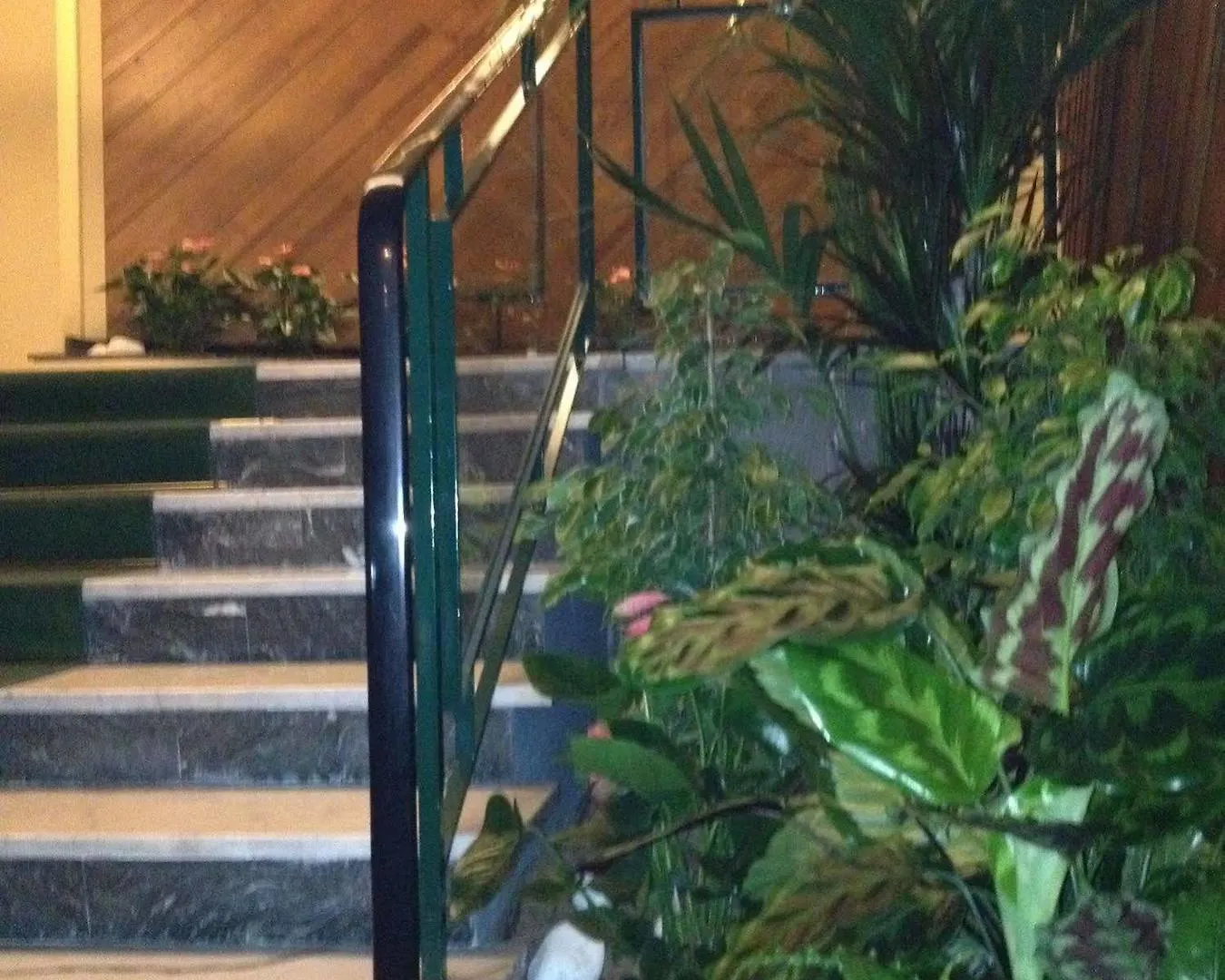 Living Bed & Breakfast Rome 2*,  Italy